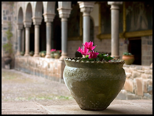 Flower Pot at Koricancha.jpg